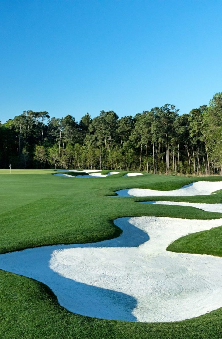 6P9A9899 3 - Resized